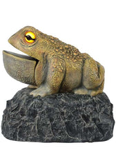 Croaking Toad Light Up Decoration